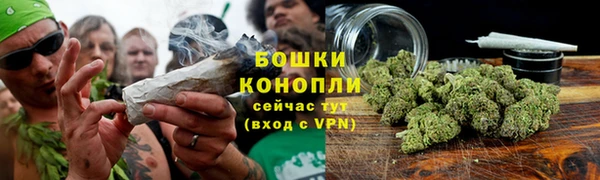 соль курить ск Ладушкин