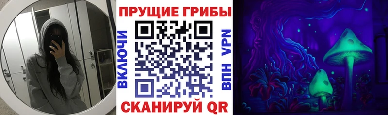 Купить закладки  Славянск-на-Кубани  Галлюциногенные грибы мухоморы 